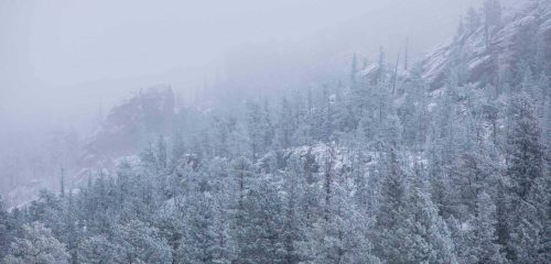 Custer Winter